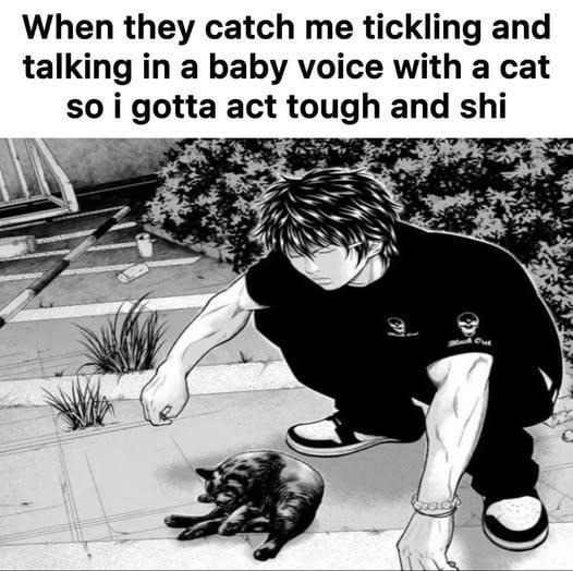 Caught talking baby talk to a cat so now I lift weights - meme
