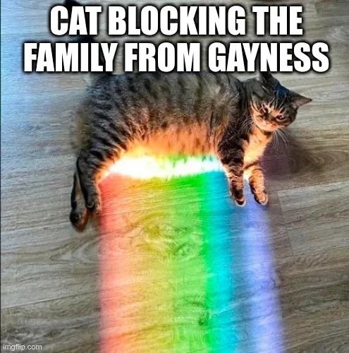 Gato protegiendo a la familia de la homosexualidad - meme