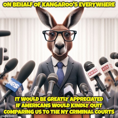 Kangaroo Defamation - meme