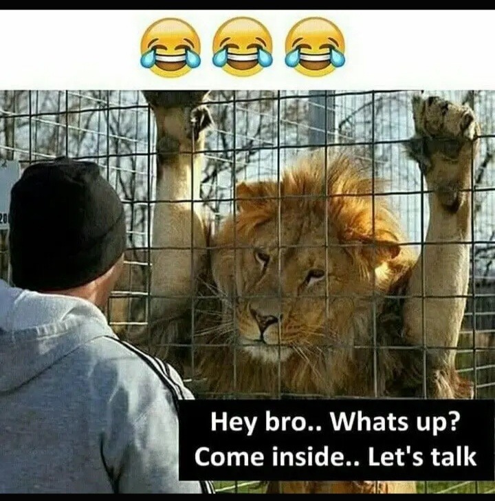  - meme