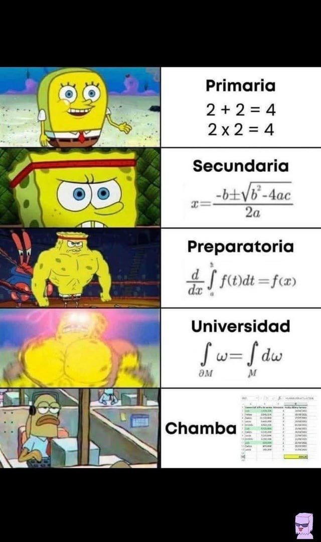 evolución académica - meme