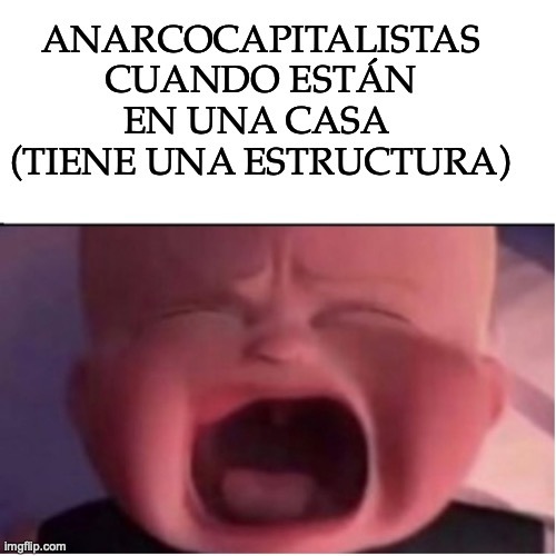 El Anarcocapitalismo no funciona - meme