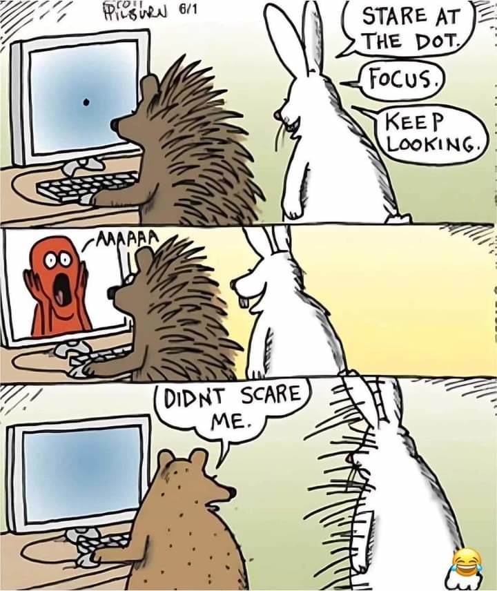 Cooked rabbit - meme
