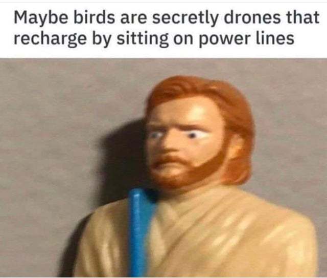What if birds are secretly drones that recharge by sitting on power lines? - meme