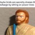 What if birds are secretly drones that recharge by sitting on power lines?