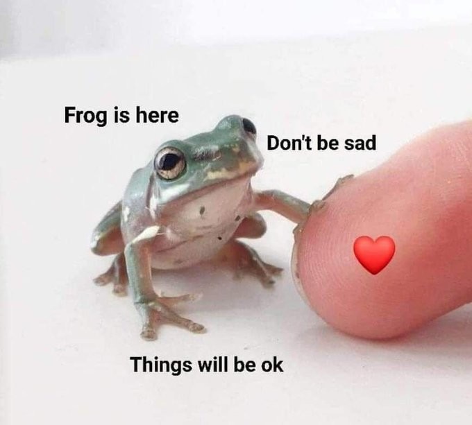 Sometimes we all need that little frog... - meme