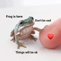 Sometimes we all need that little frog...