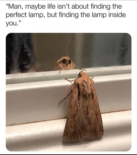 The perfect lamp - meme