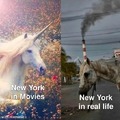 New York meme