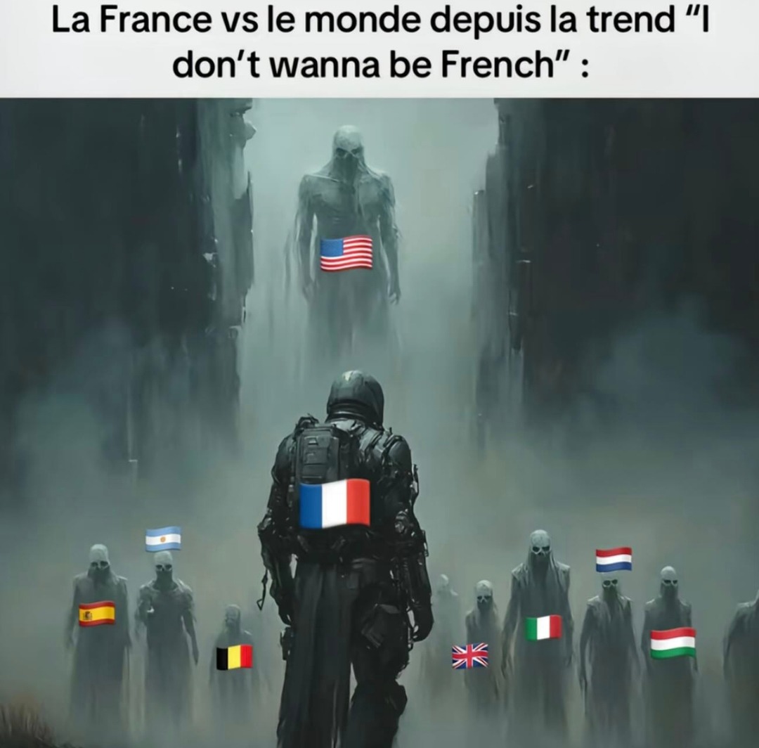Depuis la trend 'don’t wanna be French', la France est en PLS - meme