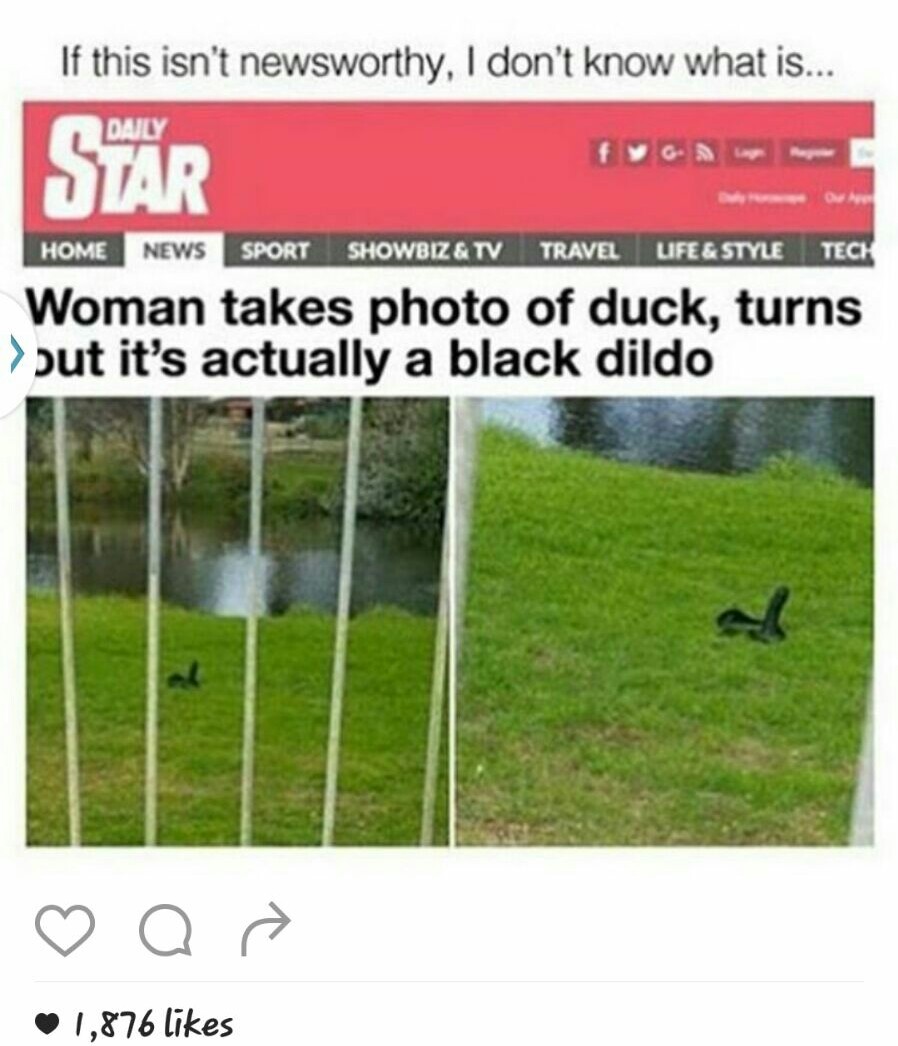Duck?  *Dick... - meme