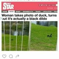 Duck?  *Dick...