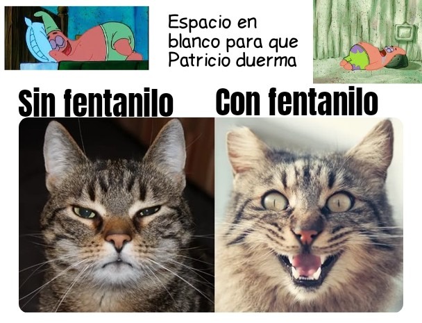 No pregunten porque hay dos patricios - meme