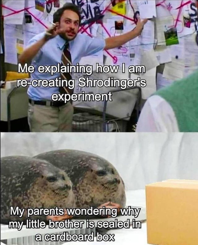 Me recreating Schrödinger’s cat while my brother's in the box - meme
