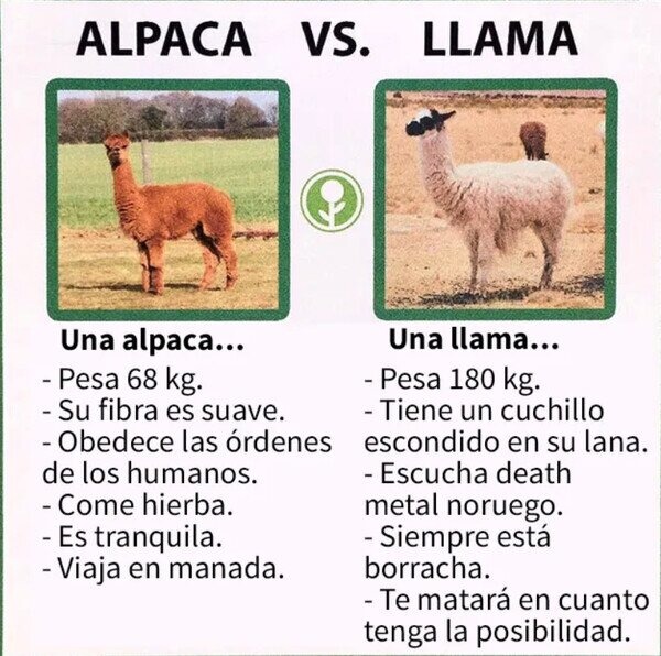 Alpaca vs Llama - meme