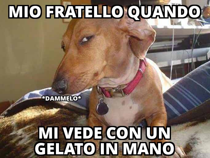 Solo chi ha un fratello o sorella può capire - meme