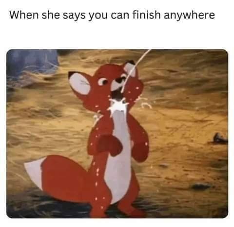 The best Sexual memes :) Memedroid