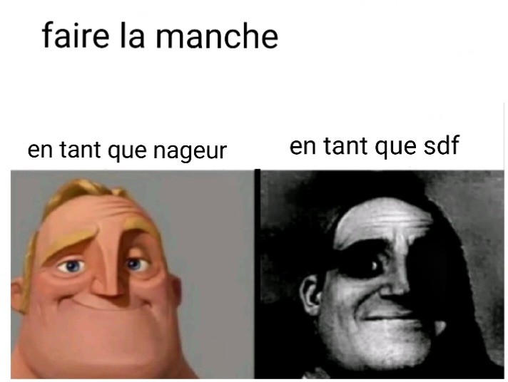 J'ai fait mieux mais j'ai fait pire - meme