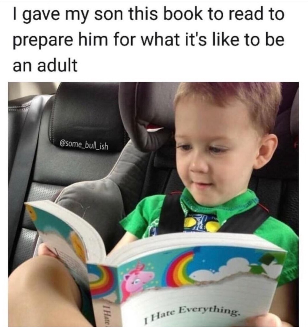 How To Be An Adult for Dummies - meme