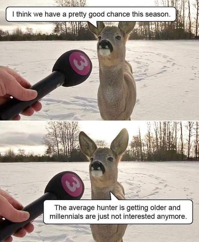 Nice interview with a deer - meme