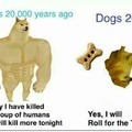 evolution of dogs