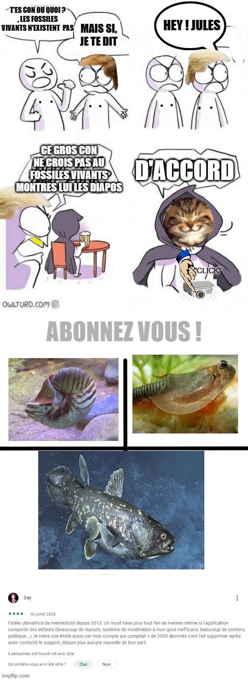 sponsorisé par imgflip.com .Ce site est facile a utilisé et permet au montage époustouflant comme celui ci - meme