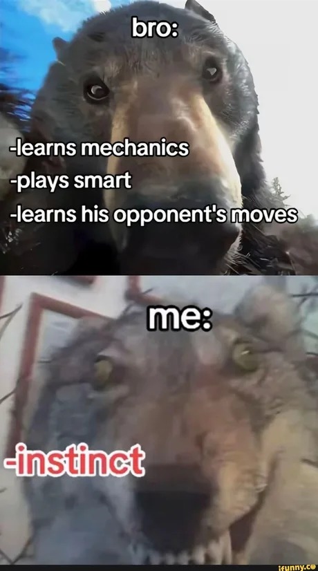 keep learning my dude - meme