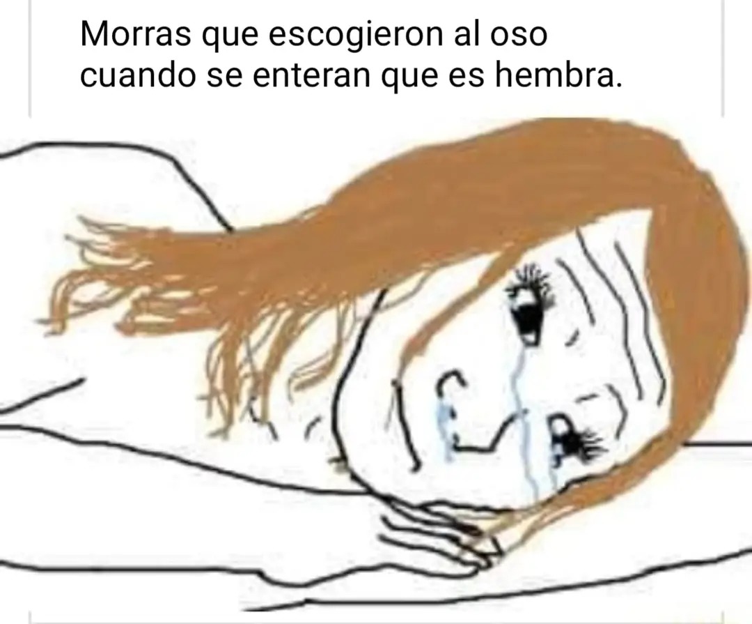 Se imaginan que eso pasé? - meme