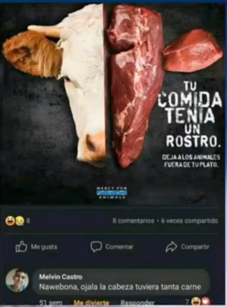Xddd - meme