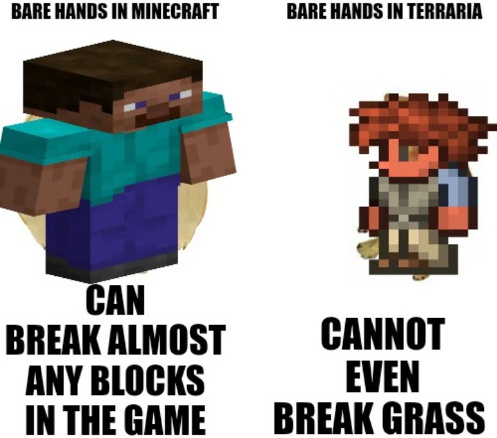 Bare hands in Minecraft vs in Terraria - meme