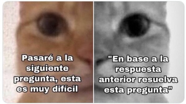 Preguntas de exámenes - meme
