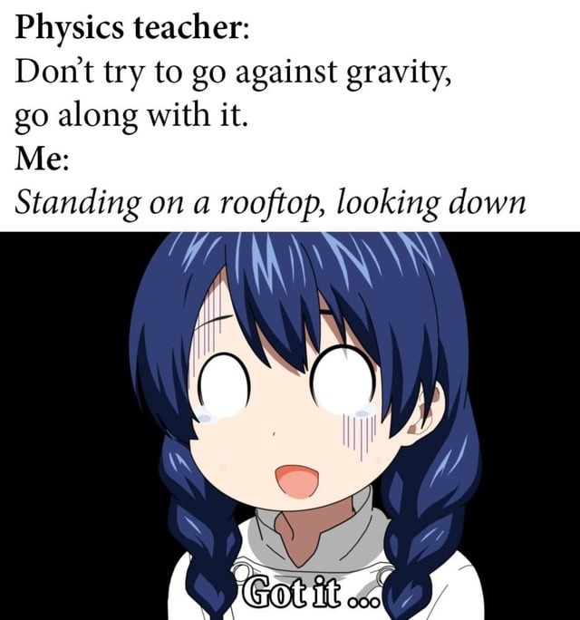 Physics teacher: go with gravity. Me: understood - meme