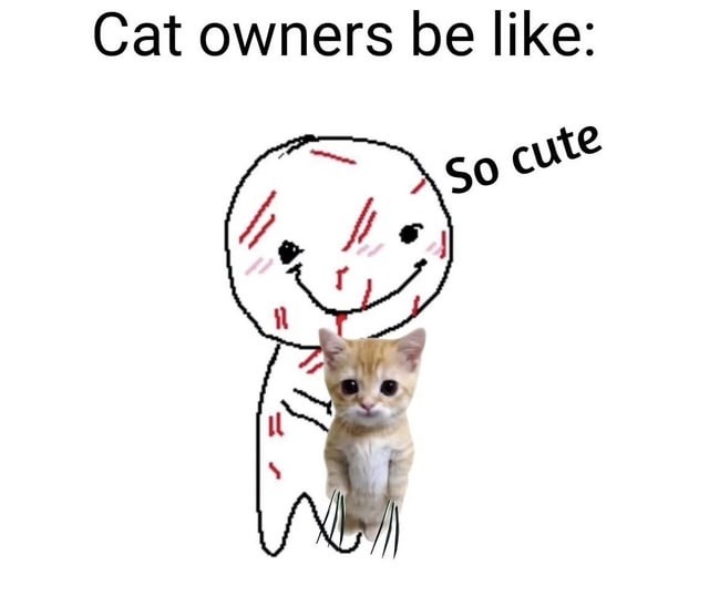 so cute - meme