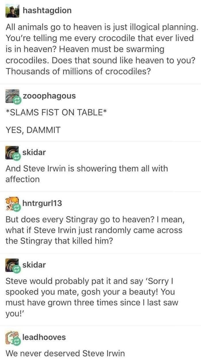 Rip Steve - meme