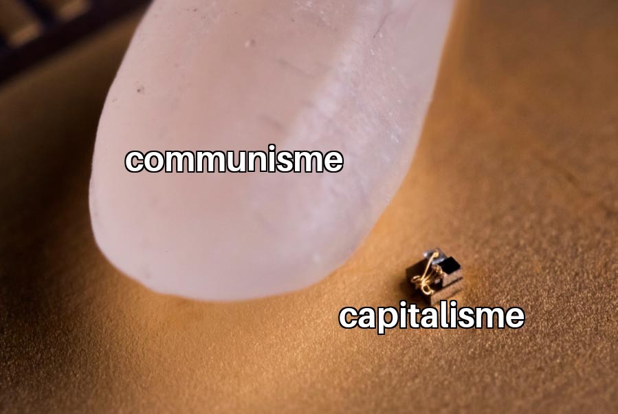 Vive le communisme - meme