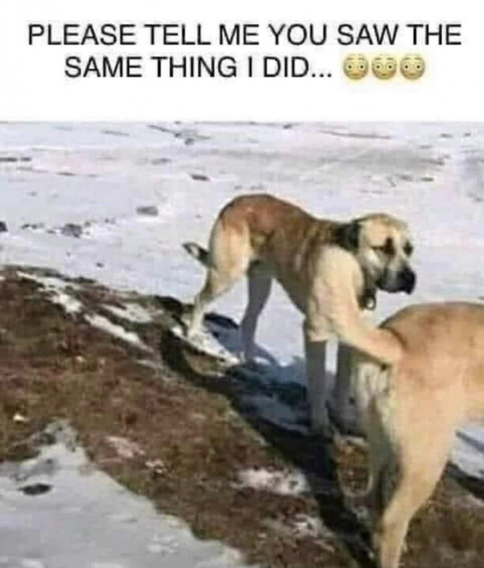Latest memes / New memes :) Memedroid