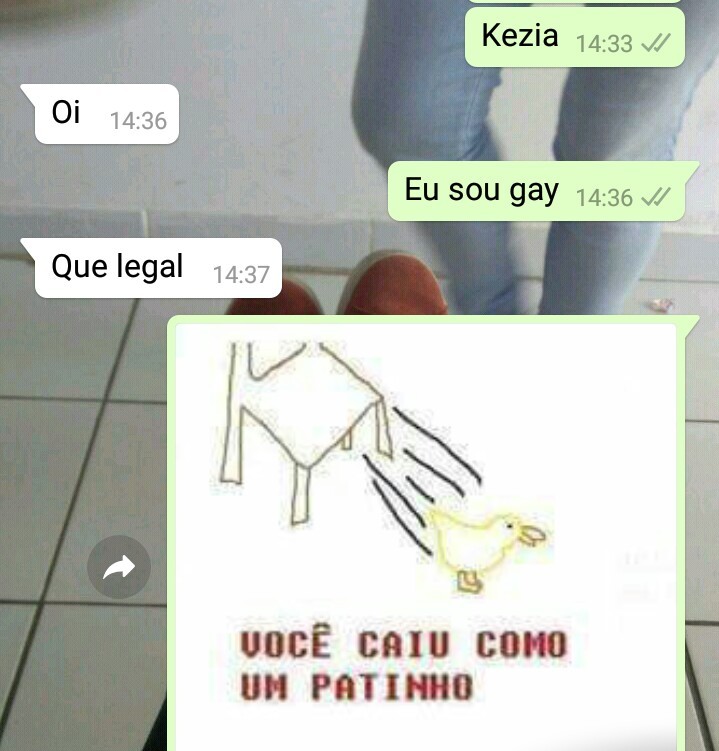 Você foi vítima de uma sapecagem bem serelepe - meme