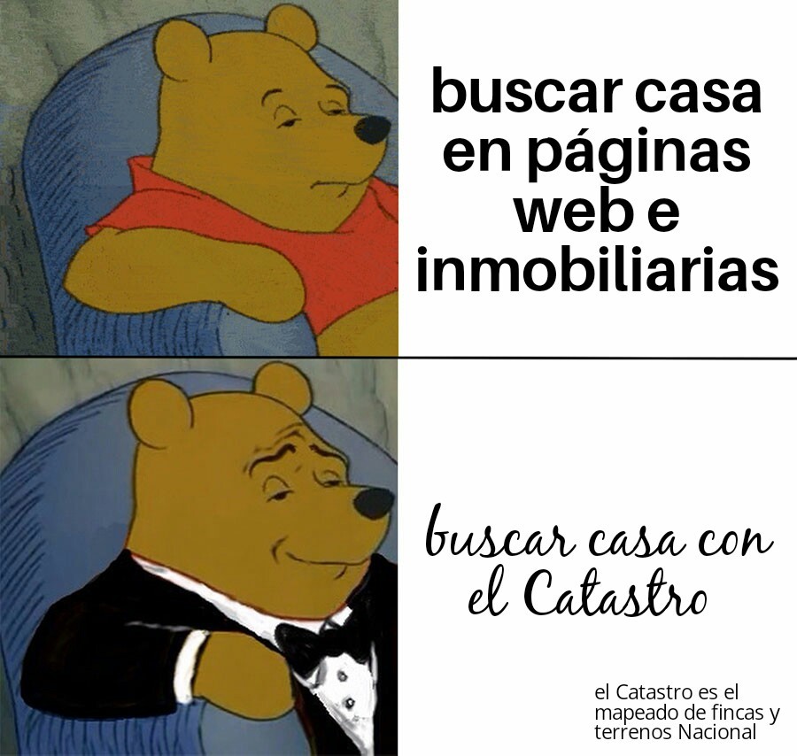 fino señores gato｜Búsqueda de TikTok