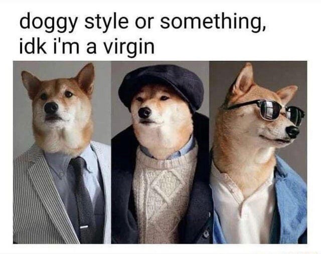 The real doggy style - meme