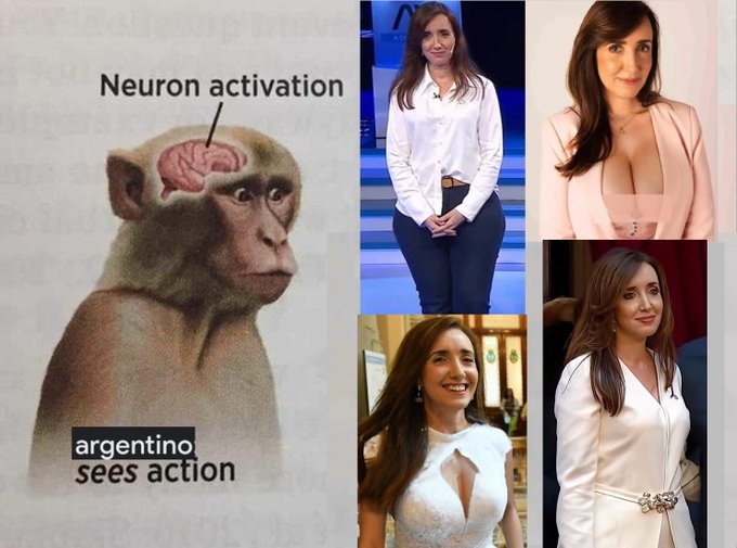 la nueva vicepresidente de argentina - meme
