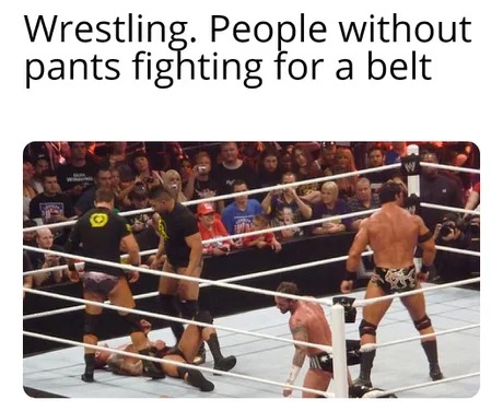 Wrestling meme