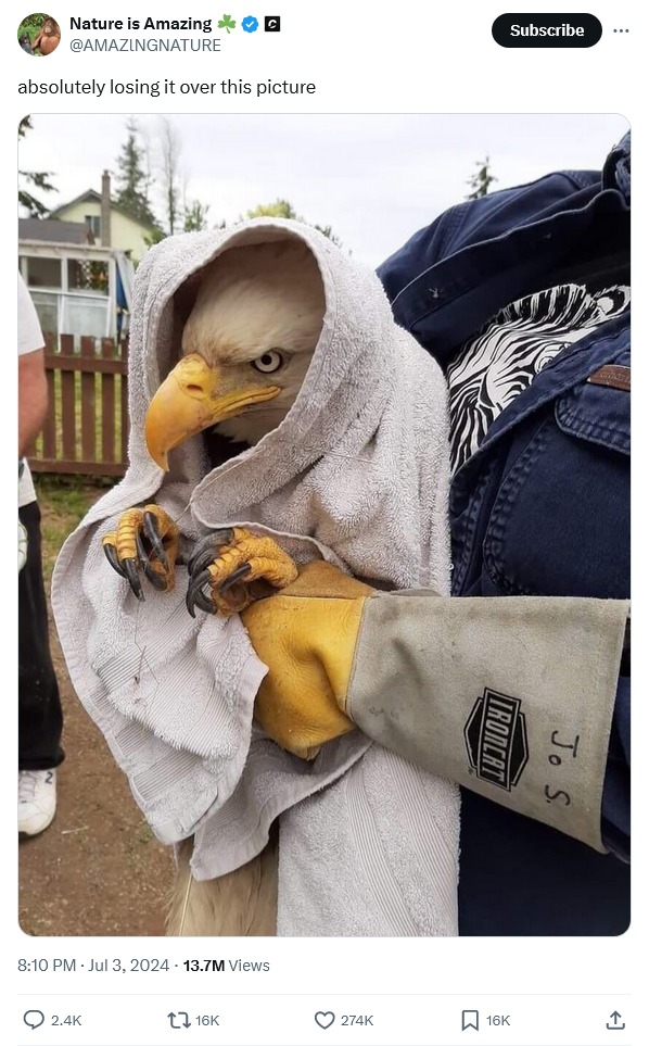 he looks angry - meme