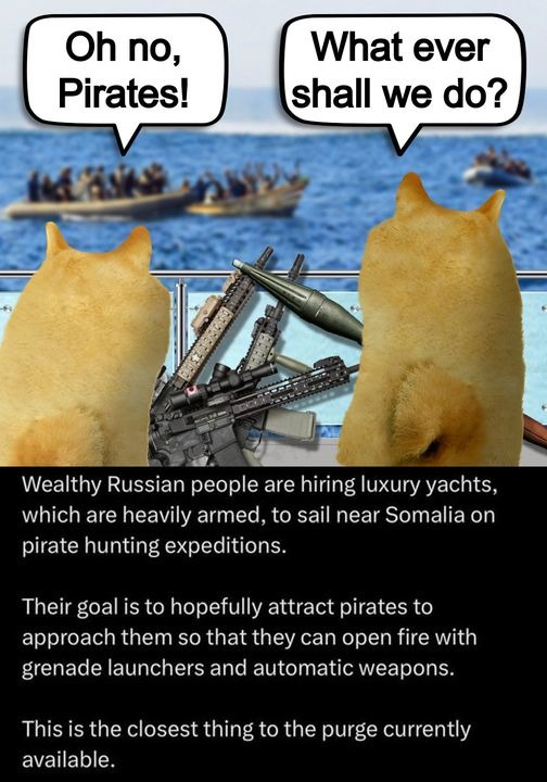 wtf - meme