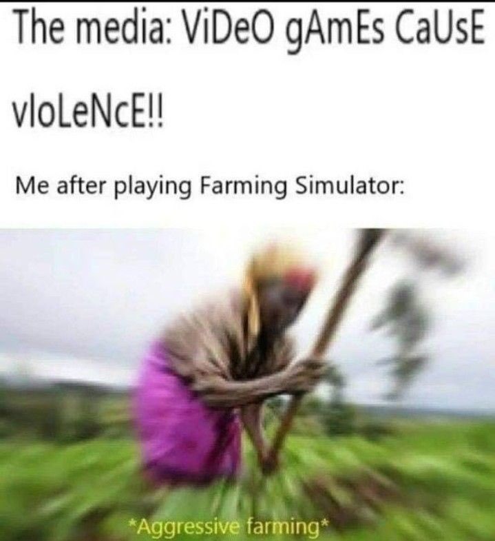 The same goes for Animal Crossing who, we all know, is extremely violent - meme