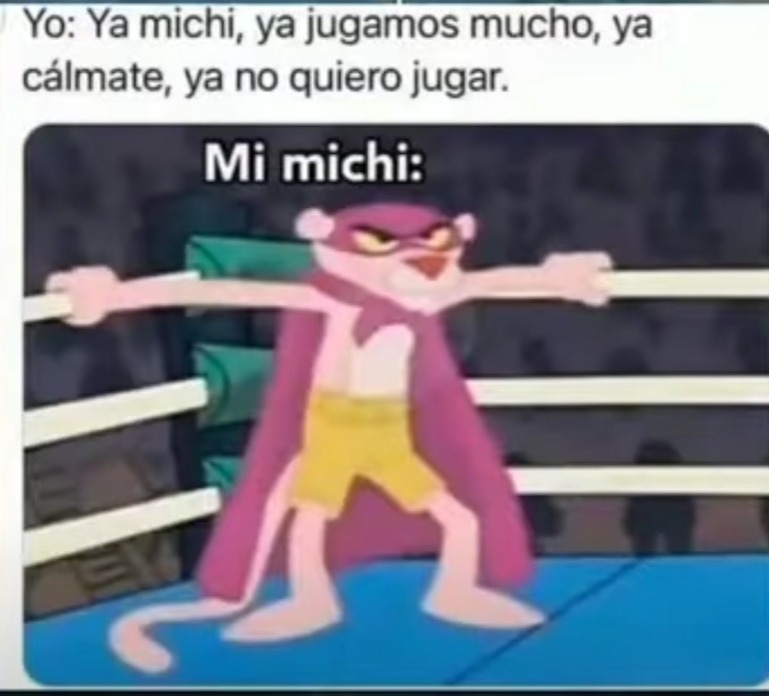 El michi - meme