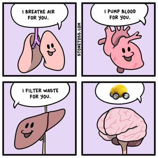 tap here to add text meme