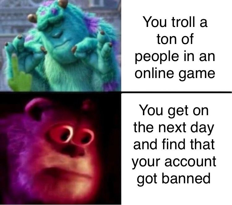 Sully Memes