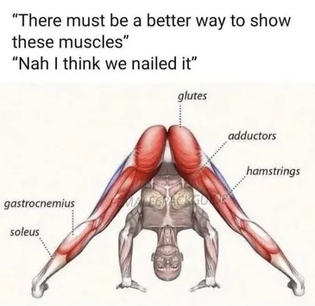 muscle stretch - meme
