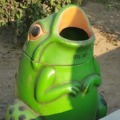 this frog is a hoe