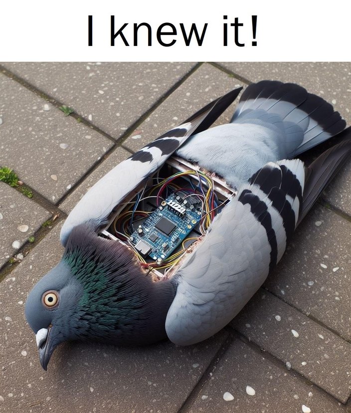 The "mystery" is solved! - meme